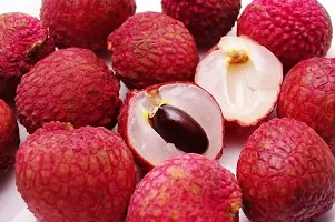 Baishnab Litchi Plant LI76GYT-thumb1