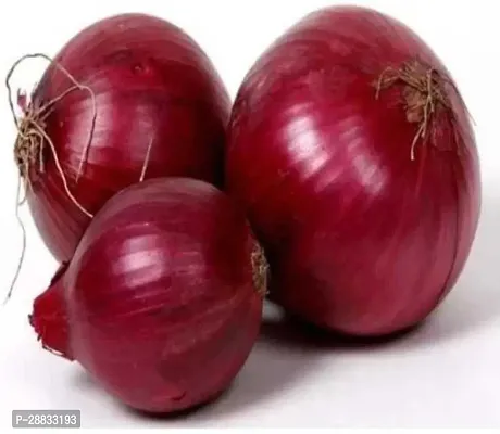 Baishnab onione seed  1kg Red Onion Nasik Seed 191PIECE