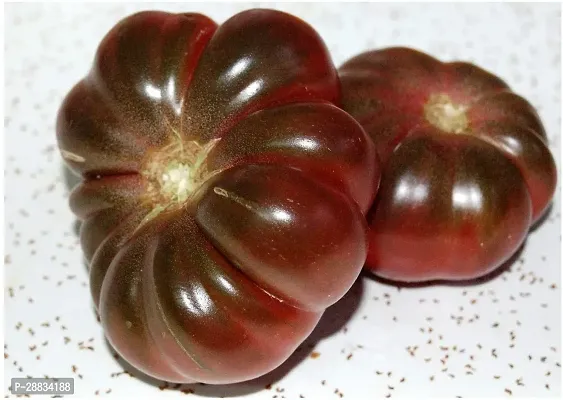 Baishnab tomato seed 500 ps hhq Tomato   Purple Calabash Seeds Organic BIO500PIECE