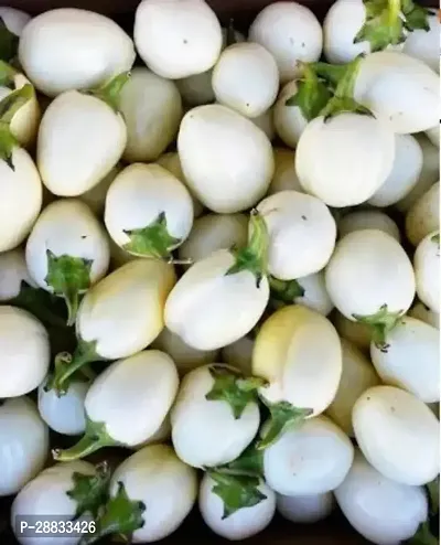 Baishnab WHITE BRIANJA PLM Brinjal White Round14953PIECE-thumb0