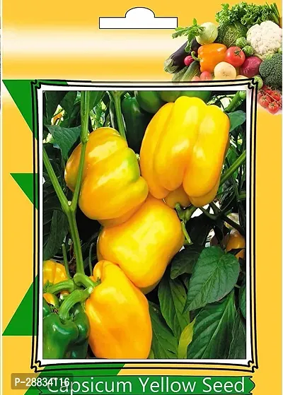 Baishnab capsicum seed aaCapsicum Yellow Vegetables Seeds50PIECE-thumb0