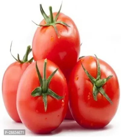 Baishnab tamato seed nhkju 1000ps  pai1848 ALK Quant Tomato 1000Seeds1000PIECE-thumb0