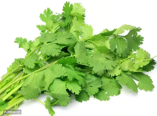 Baishnab Earth Seeds P106Coriander seeds5475PIECE-thumb0