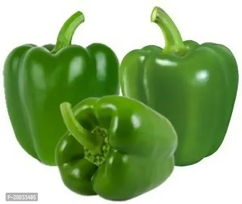 Baishnab capsicum seed bgytCapsicum Vegetable Seeds Green Colour200PIECE-thumb0