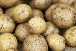 Baishnab Potato seed 50ps mc fytPo5050PIECE-thumb1