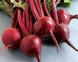 Baishnab Beetroot seed 50 per packet   rbPremium Vegetable Beetroot Seeds Op   Sow and Grow Fresh Healthy Seed in Your Garden Perfect for Home   Terrace Gardening High Germination Seeds50PIECE-thumb1