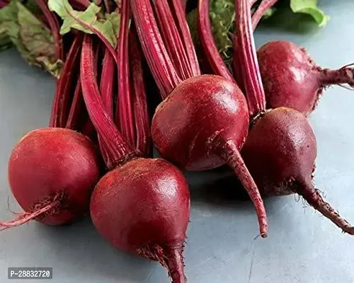 Baishnab Beetroot seed 50 per packet   rbPremium Vegetable Beetroot Seeds Op   Sow and Grow Fresh Healthy Seed in Your Garden Perfect for Home   Terrace Gardening High Germination Seeds50PIECE-thumb2