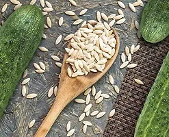 Baishnab Kheera seed 20 per packet rbNon GMO kheera Hybrid Cucumber Seeds   K72620PIECE-thumb2