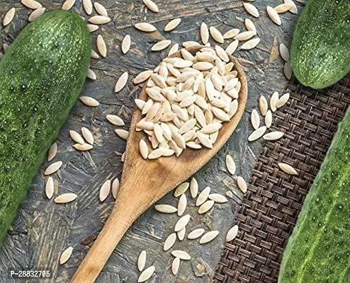 Baishnab Kheera seed 20 per packet rbNon GMO kheera Hybrid Cucumber Seeds   K72620PIECE-thumb3