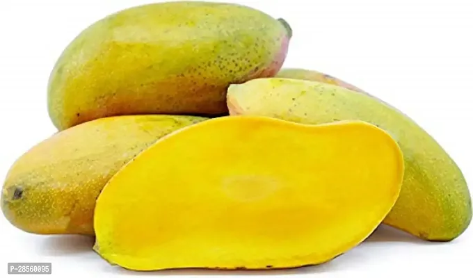 Baishnab Mango Plant Valencia Pride Mango Plant- Grafted-thumb0