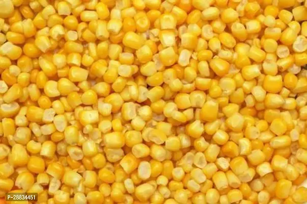 Baishnab Corn seeds 200psI B F1 Hybrid Sweet 70 Sweet Corn Seeds200PIECE-thumb4