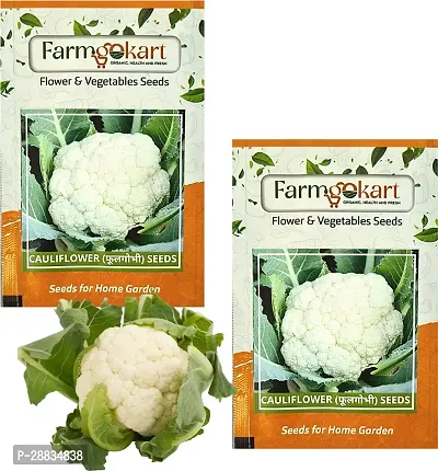 Baishnab Cauli flower seed 100ps mc2 PACKETS OF  CAULI FLOWER100PIECE