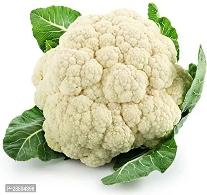 Baishnab Cauliflower  seed 15 PshCauliflower 2331PIECE-thumb2