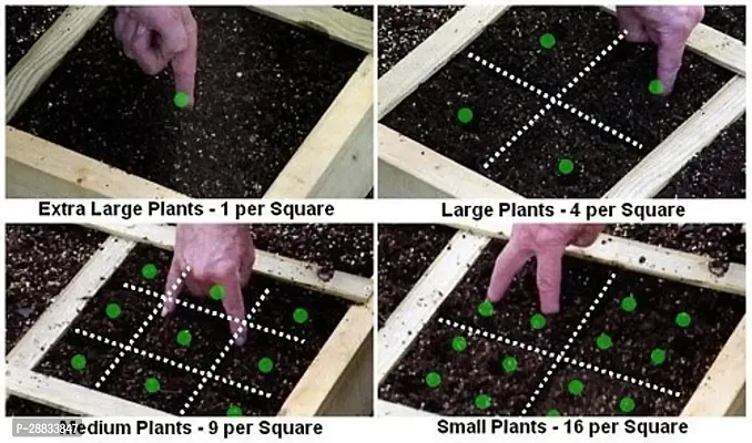 Baishnab Earth Seeds P91BITTER64100PIECE-thumb3