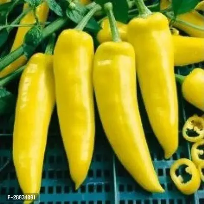 Baishnab chilli seed 90 ps kkuChilli Pepper Hungarian Wax Yellow Seeds90PIECE