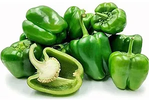 Baishnab Capcicum seed 360 per packet  rbShimla Mirch  Capsicum Hybrid Vegetable Seeds   S7356360PIECE-thumb1