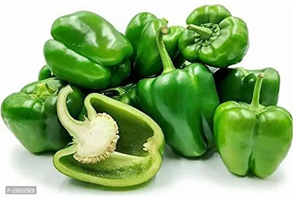 Baishnab Capcicum seed 360 per packet  rbShimla Mirch  Capsicum Hybrid Vegetable Seeds   S7356360PIECE-thumb2