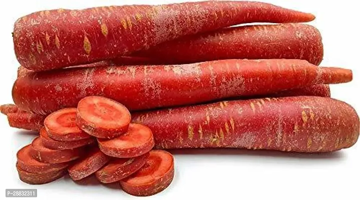 Baishnab Carrot  seed300 per packet rbRED CARROT  LAAL GAJAR   GAJAR RUPSLI SEEDS FOR KITCHEN GARDENING300PIECE-thumb0