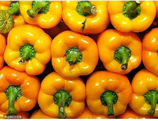 Baishnab capsicum seed sabhuCapsicum Yellow Vegetable Seeds1000PIECE