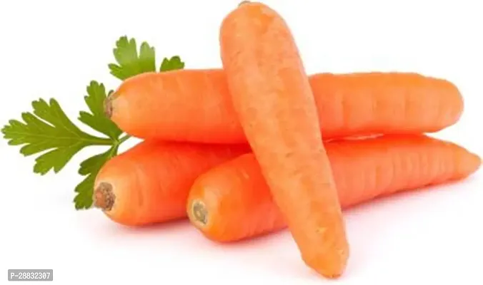 Baishnab carrot seed 810 per packetCARROT Seed810 Seeds810PIECE-thumb0