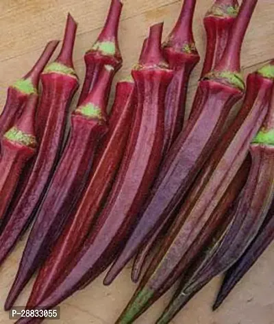 Baishnab Vandy seeds 50 per packetrbOkra Red Burgundy F1 Hybrid Vegetable Seeds   O385250PIECE-thumb0