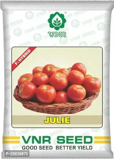 Baishnab Tomato seeds 100 per packetF641PIECE