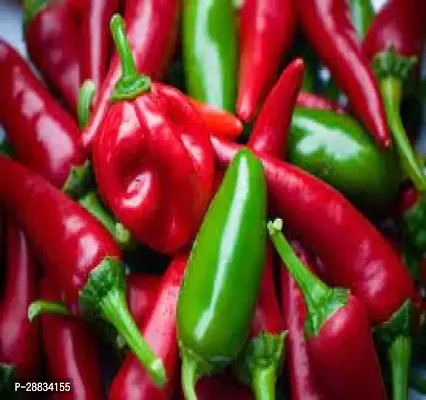 Baishnab Chili seed f 150psCW25 CHILLI MIRCHI HYBRID SEED150PIECE-thumb0