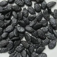 Baishnab Ridge gourd seed 15 per packet   rbRidge Gourd seed15PIECE-thumb2