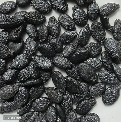 Baishnab Ridge gourd seed 15 per packet   rbRidge Gourd seed15PIECE-thumb3