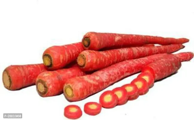 Baishnab Gajar Seed  50 ps Red Carrot Seed55481250PIECE-thumb0