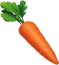 Baishnab c sedv 100ps jjHybrid  Carrot Seeds Around 100 Seeds Per Pack100PIECE-thumb3