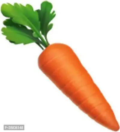 Baishnab c sedv 100ps jjHybrid  Carrot Seeds Around 100 Seeds Per Pack100PIECE-thumb4