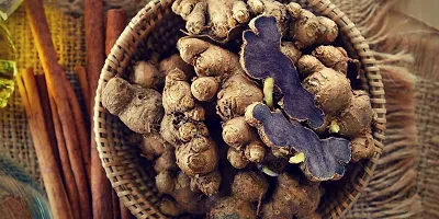 Baishnab Black ginger 50gm SS Natural Black Ginger Kaempferia Parviflora Rare Black Ginger Krachai Dum or Tai Ginseng Rhizomes for Growing50PIECE-thumb3