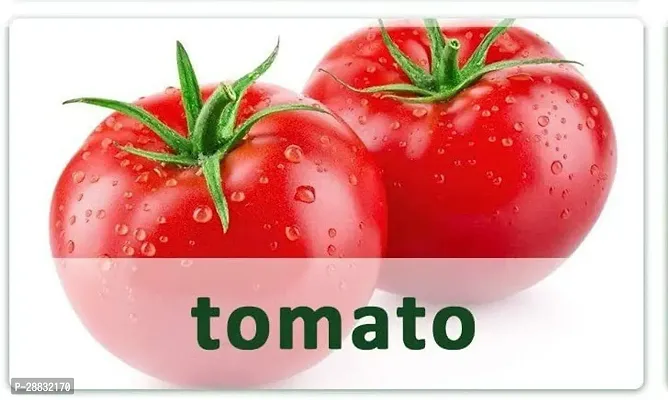 Baishnab Tomato seed 125ps Fast Germination Cherry Tomato Seeds125 Seeds125PIECE