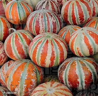 Baishnab Kumro seed az 200psKazri Muskmelon Seeds200PIECE-thumb0