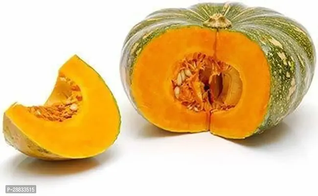 Baishnab Earth Seeds R 48PUMPKIN22100PIECE-thumb0