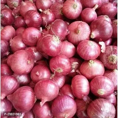 Baishnab Onion Seed 55 psCFD34 DF29855PIECE-thumb0