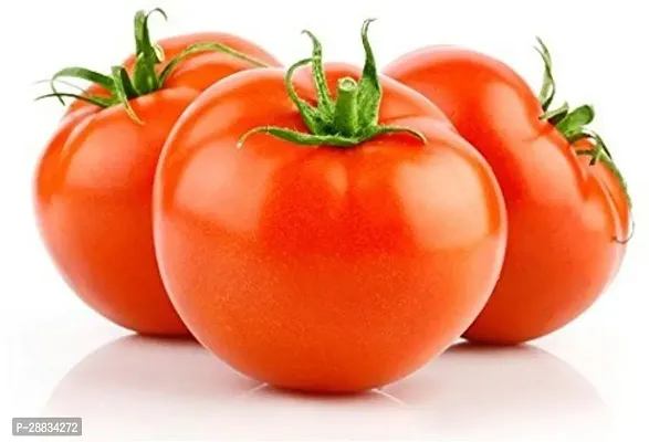 Baishnab tomato  seed 100 ps CBJHybrid Tomato Vegetable Seeds100PIECE-thumb0