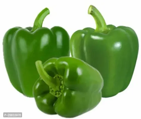 Baishnab capsicum seed DASVegetable seeds   capsicum Green Seeds Hybrid Bell Pepper Seeds1500PIECE-thumb0