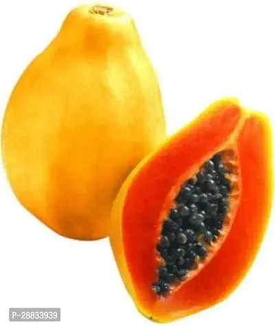 Baishnab w 16IND PM49   PREMIUM BEST SELLER 100 percent GERMINATION PAPAYA PAPITA FRUIT SEED HYBRID 200 SEEDS.200PIECE