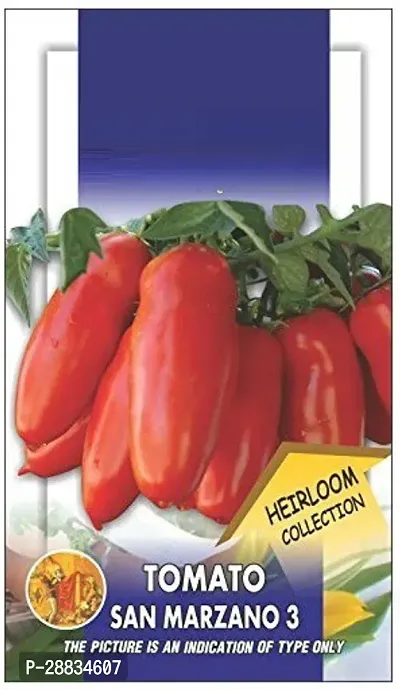 Baishnab tomato seed 250 ps vuTomato San Marzano Heirloom250PIECE