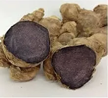 Baishnab Black ginger 250gm mc thblack ginger Tai Ginseng Rhizomes Krachai Dum Kaempferia Parviflora Seed250PIECE-thumb2