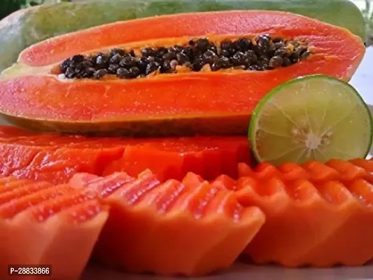 Baishnab papaya seed 200 per packetIND PM3  PREMIUM BEST SELLER 100 percent GERMINATION PAPAYA PAPITA FRUIT SEED HYBRID 200 SEEDS.200PIECE-thumb0