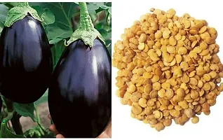 Baishnab Brinjal seed  75 per packet   rbBrinjal Seed Hybrid Per Packet  7575PIECE-thumb1