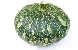 Baishnab Earth Seeds P01Pumpkin Kaddu Vegetables Seeds For Home Gardening Planting 75 seeds in a pack75PIECE-thumb1