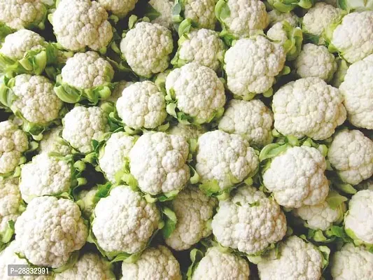 Baishnab Cauliflower Seed 10 Ps....a1 70210PIECE-thumb0