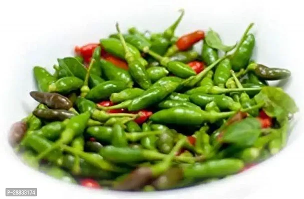 Baishnab chilli seed 20 ps hhtBird Eye Chilli   Kanthari Mulaku Thai Pepper Tiny Chilli20PIECE