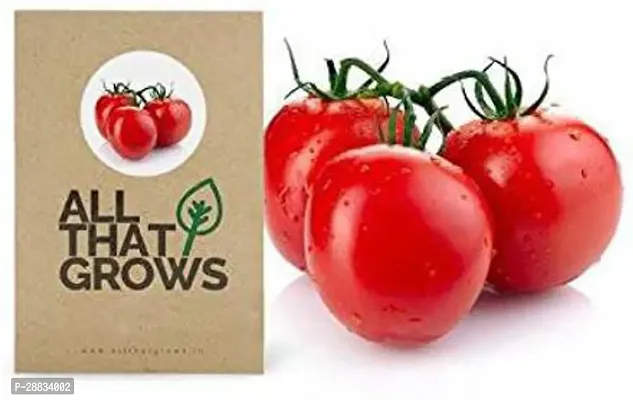 Baishnab tomato  seed 1000 ps cdsqTomato F1 Hybrid Heirloom Vegetable Seeds1000PIECE