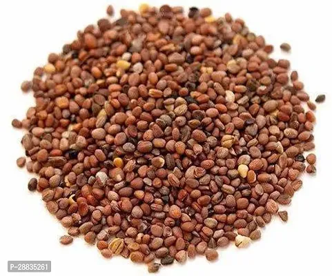 Baishnab Seed 1500per packet XF461REDDISH RED LONG ORGANIC F1 HYBRID SEEDS 1500 Seed1500PIECE-thumb2