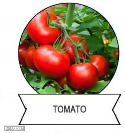 Baishnab Tomato seed 125ps hj F1 Hybrid Tomato Seeds125 Seeds125PIECE